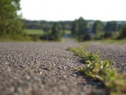 road ahead by Donnalee Downe